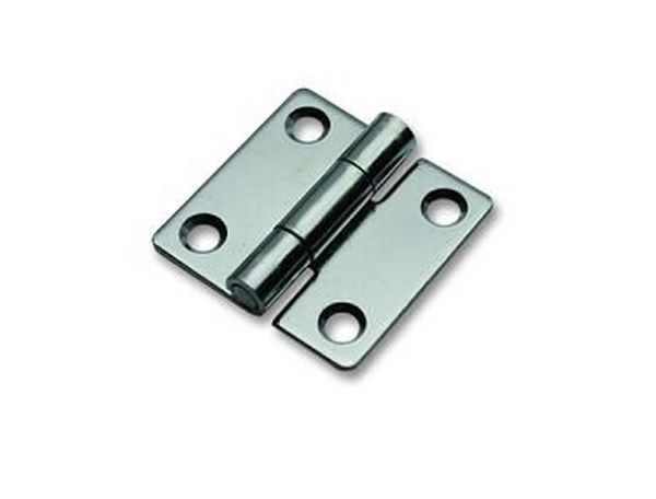 Case Hinge