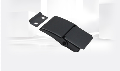 Electrophoresis process of internal buckle