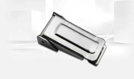 Stainless steel buckle will also rust?