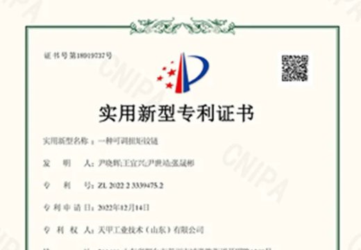 L43 patent application successful